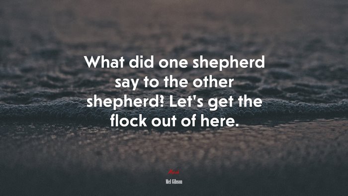 What did one shepherd say to the other shepherd? Let’s get the flock out of here. | Mel Gibson quote
