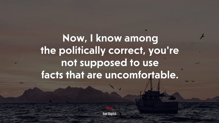 Now, I know among the politically correct, you’re not supposed to use facts that are uncomfortable. | Newt Gingrich quote