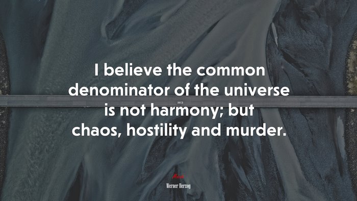 I believe the common denominator of the universe is not harmony; but chaos, hostility and murder. | Werner Herzog quote