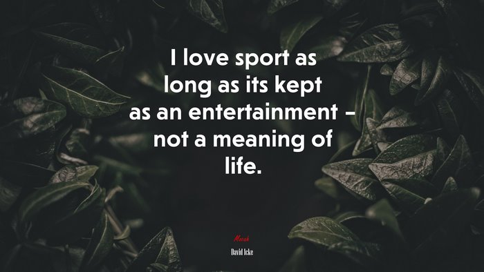 I love sport as long as its kept as an entertainment – not a meaning of life. | David Icke quote