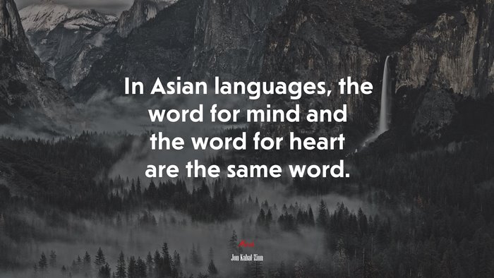In Asian languages, the word for mind and the word for heart are the same word. | Jon Kabat-Zinn quote