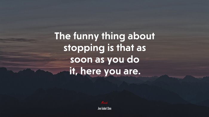 The funny thing about stopping is that as soon as you do it, here you are. | Jon Kabat-Zinn quote
