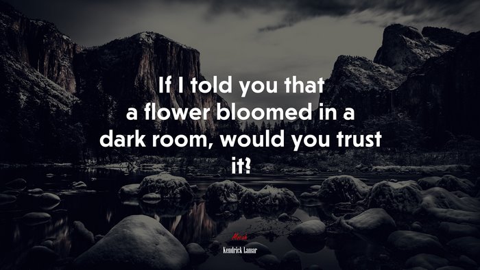 If I told you that a flower bloomed in a dark room, would you trust it? | Kendrick Lamar quote