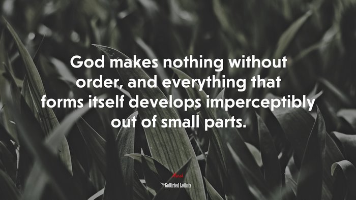 God makes nothing without order, and everything that forms itself develops imperceptibly out of small parts. | Gottfried Leibniz quote
