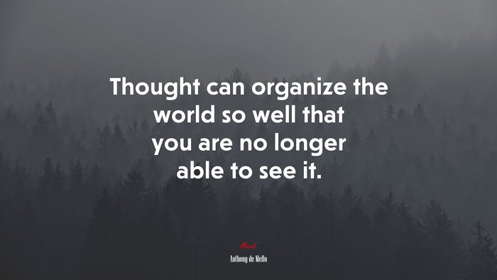 Thought can organize the world so well that you are no longer able to see it. | Anthony de Mello quote