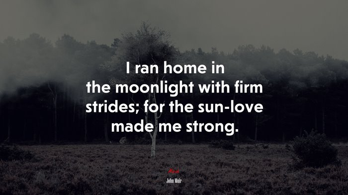 I ran home in the moonlight with firm strides; for the sun-love made me strong. | John Muir quote