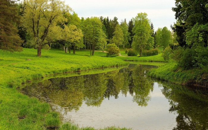 A tranquil pond reflects trees and a grassy hill