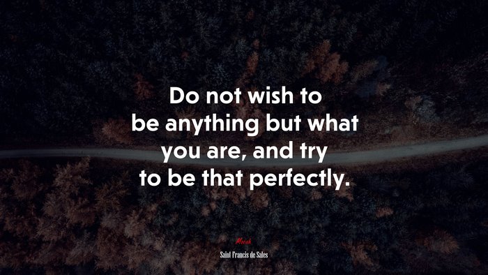 Do not wish to be anything but what you are, and try to be that perfectly. | Saint Francis de Sales quote