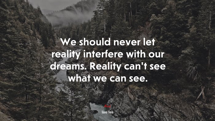 We should never let reality interfere with our dreams. Reality can’t see what we can see. | Simon Sinek quote