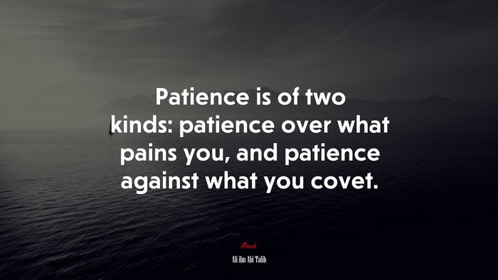 Patience is of two kinds: patience over what pains you, and patience against what you covet. | Ali ibn Abi Talib quote