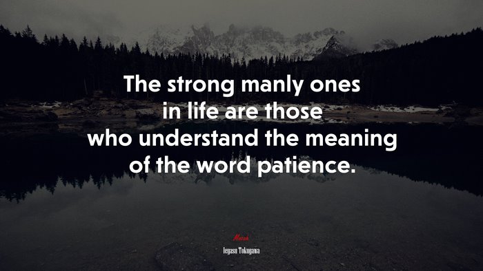 The strong manly ones in life are those who understand the meaning of the word patience. | Ieyasu Tokugawa quote