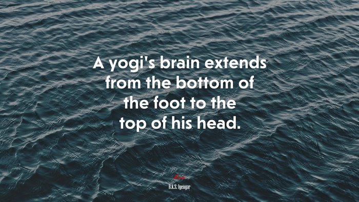 A yogi’s brain extends from the bottom of the foot to the top of his head. | B.K.S. Iyengar quote