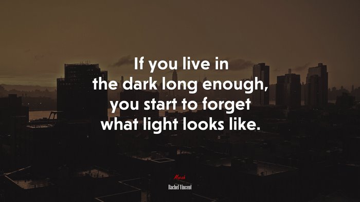If you live in the dark long enough, you start to forget what light looks like. | Rachel Vincent quote