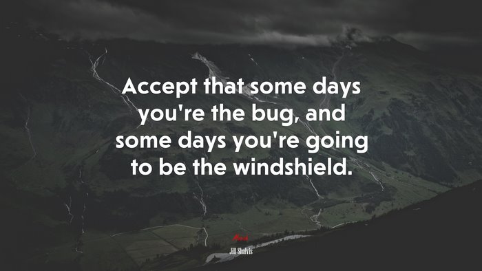 Accept that some days you’re the bug, and some days you’re going to be the windshield. | Jill Shalvis quote