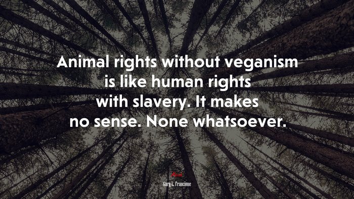 Animal rights without veganism is like human rights with slavery. It makes no sense. None whatsoever. | Gary L. Francione quote