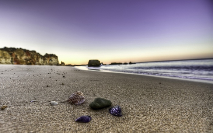 Beach at sunset with shells and rocks
