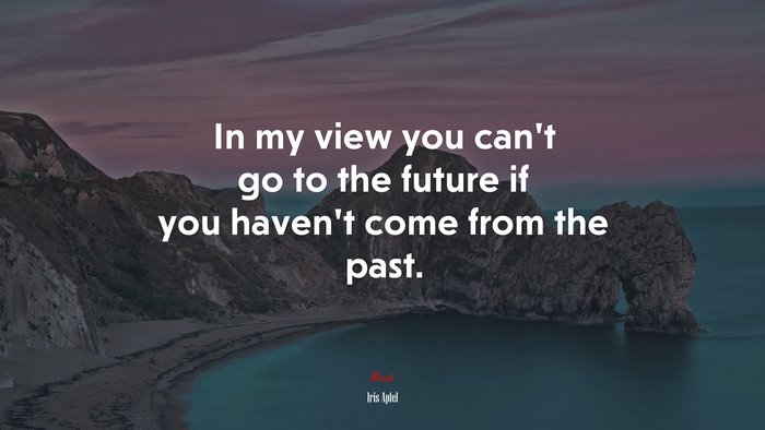 In my view you can’t go to the future if you haven’t come from the past. | Iris Apfel quote