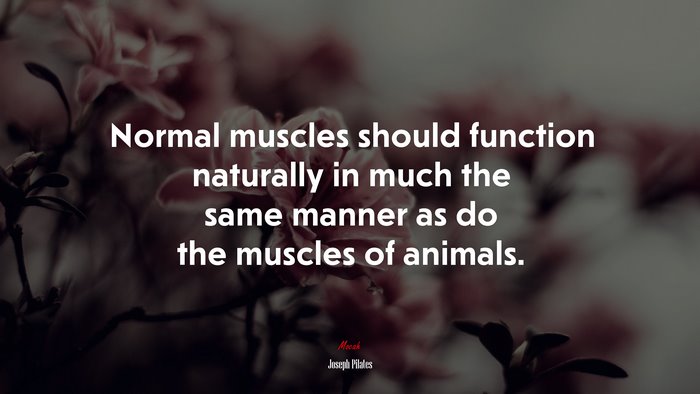 Normal muscles should function naturally in much the same manner as do the muscles of animals. | Joseph Pilates quote