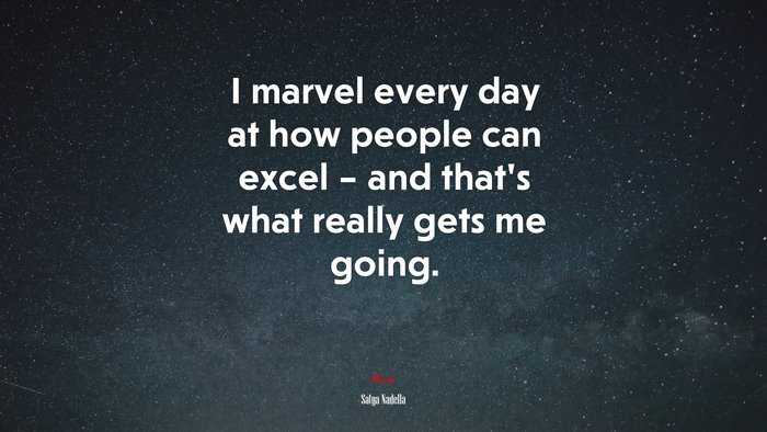 I marvel every day at how people can excel – and that’s what really gets me going. | Satya Nadella quote