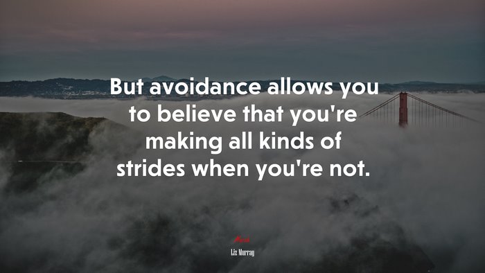 But avoidance allows you to believe that you’re making all kinds of strides when you’re not. | Liz Murray quote