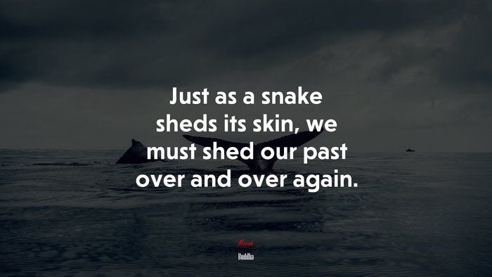 Just as a snake sheds its skin, we must shed our past over and over again. | Buddha quote