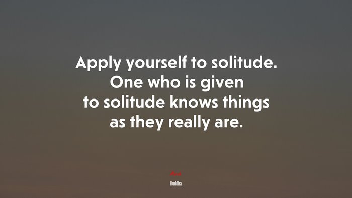 Apply yourself to solitude. One who is given to solitude knows things as they really are. | Buddha quote
