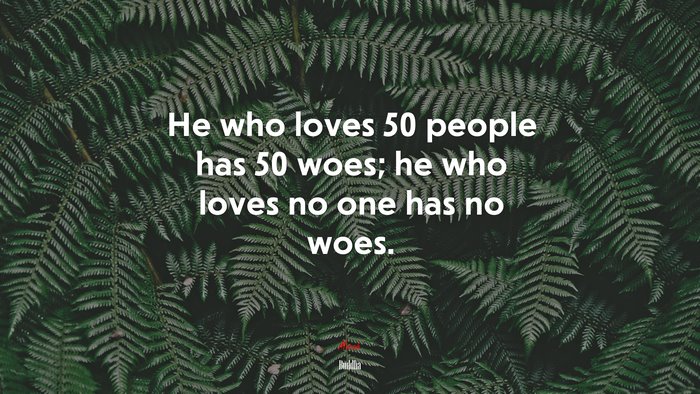 He who loves 50 people has 50 woes; he who loves no one has no woes. | Buddha quote