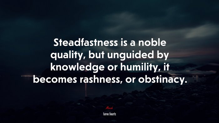 Steadfastness is a noble quality, but unguided by knowledge or humility, it becomes rashness, or obstinacy. | Aaron Swartz quote