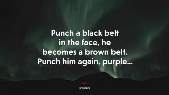 Punch a black belt in the face, he becomes a brown belt. Punch him again, purple... | Carlson Gracie quote