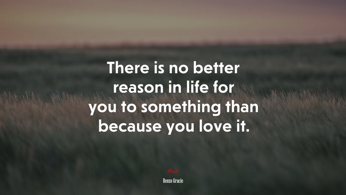 There is no better reason in life for you to something than because you love it. | Renzo Gracie quote