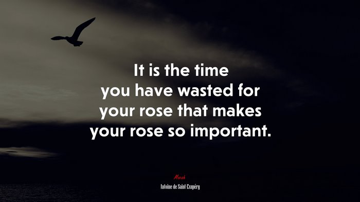 It is the time you have wasted for your rose that makes your rose so important. | Antoine de Saint-Exupéry quote