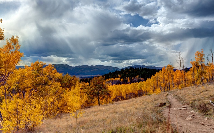 Autumn trees on a hillside under stormy clouds