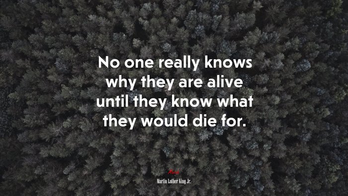 No one really knows why they are alive until they know what they would die for. | Martin Luther King Jr. quote