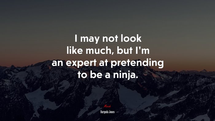 I may not look like much, but I’m an expert at pretending to be a ninja. | Darynda Jones quote