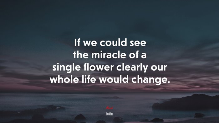 If we could see the miracle of a single flower clearly our whole life would change. | Buddha quote