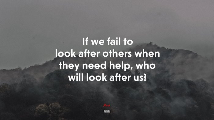If we fail to look after others when they need help, who will look after us? | Buddha quote