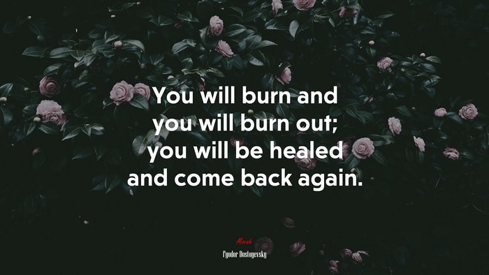 You will burn and you will burn out; you will be healed and come back again. | Fyodor Dostoyevsky quote