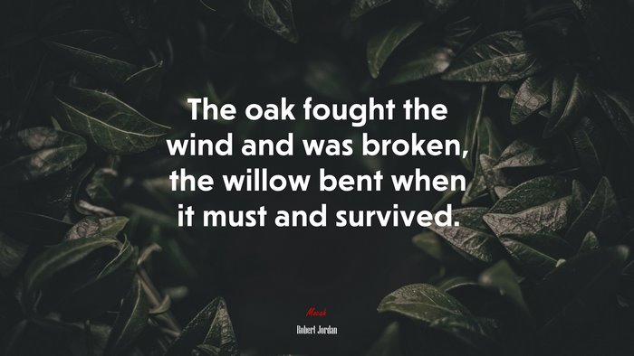 The oak fought the wind and was broken, the willow bent when it must and survived. | Robert Jordan quote