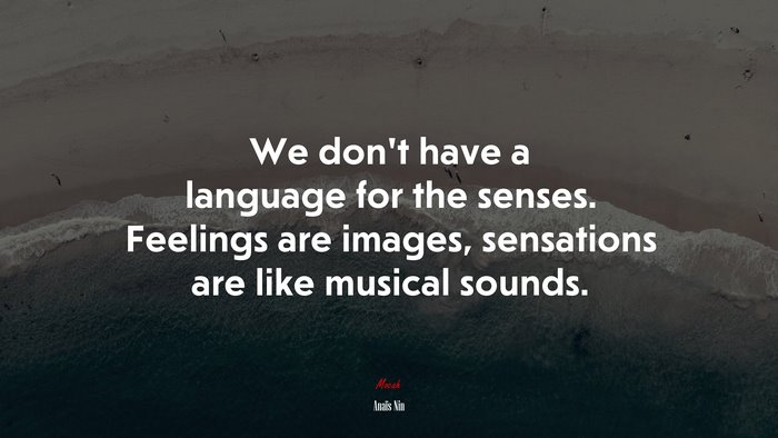 We dont have a language for the senses. Feelings are images, sensations are like musical sounds. | Anaïs Nin quote