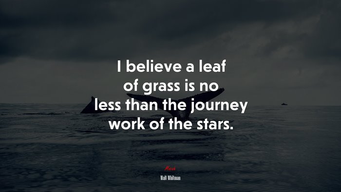 I believe a leaf of grass is no less than the journey work of the stars. | Walt Whitman quote