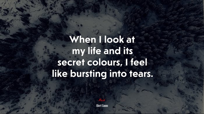 When I look at my life and its secret colours, I feel like bursting into tears. | Albert Camus quote