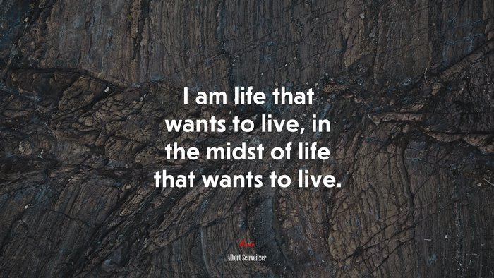 I am life that wants to live, in the midst of life that wants to live. | Albert Schweitzer quote