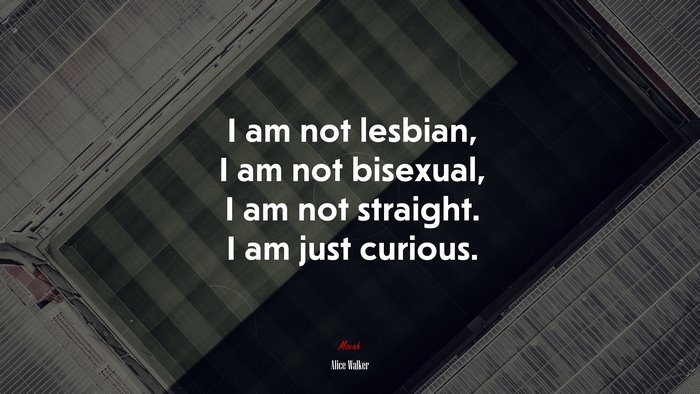 I am not lesbian, I am not bisexual, I am not straight. I am just curious. | Alice Walker quote