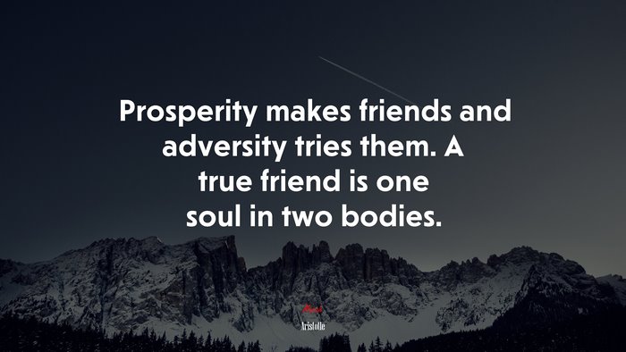 Prosperity makes friends and adversity tries them. A true friend is one soul in two bodies. | Aristotle quote
