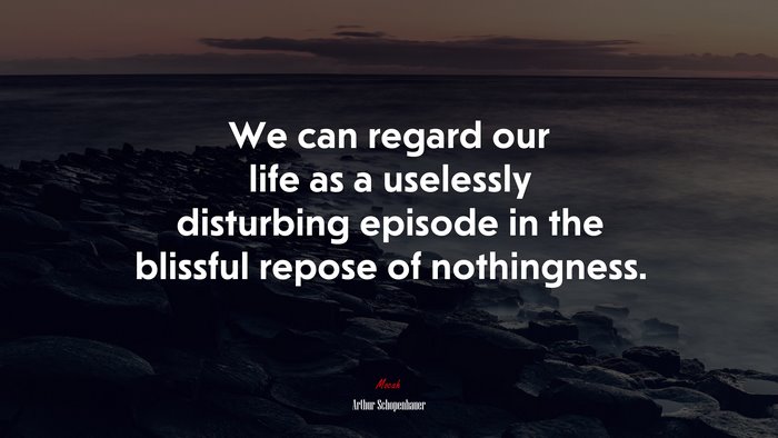 We can regard our life as a uselessly disturbing episode in the blissful repose of nothingness. | Arthur Schopenhauer quote