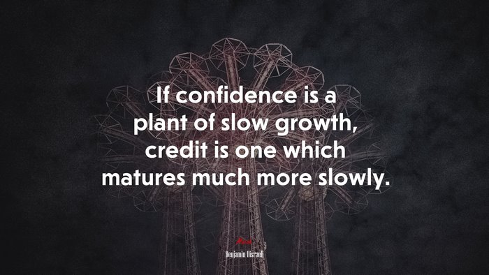 If confidence is a plant of slow growth, credit is one which matures much more slowly. | Benjamin Disraeli quote