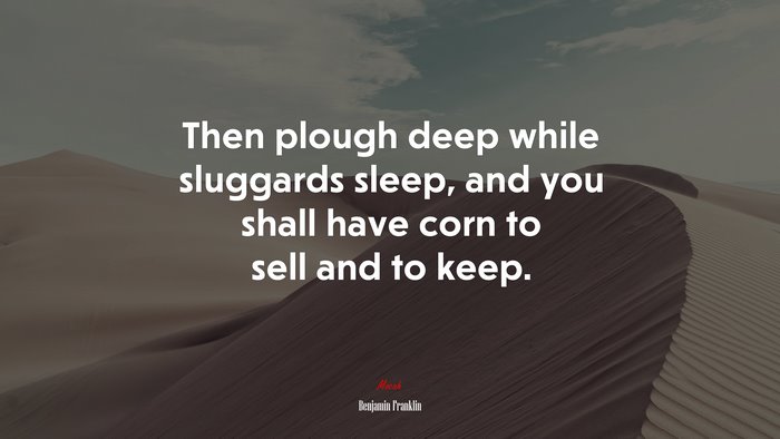 Then plough deep while sluggards sleep, and you shall have corn to sell and to keep. | Benjamin Franklin quote