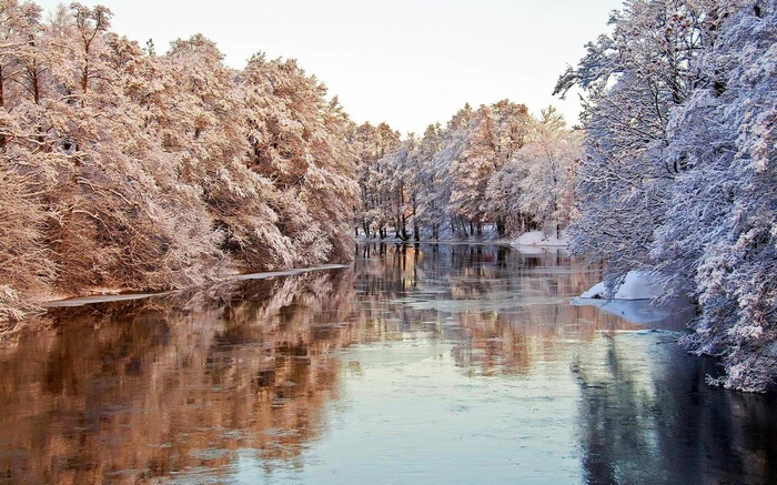 Snow-covered trees line a river in winter