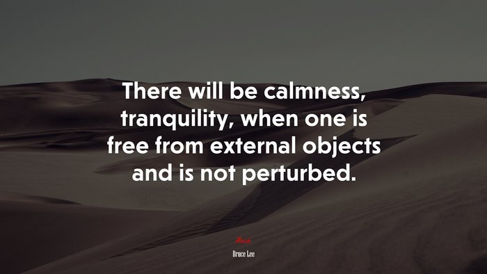 There will be calmness, tranquility, when one is free from external objects and is not perturbed. | Bruce Lee quote