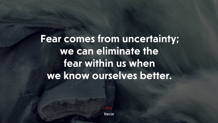 Fear comes from uncertainty; we can eliminate the fear within us when we know ourselves better. | Bruce Lee quote